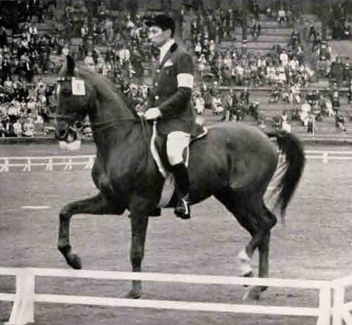 Gheorghe Teodorescu Palatin - Olimpiada 1956
