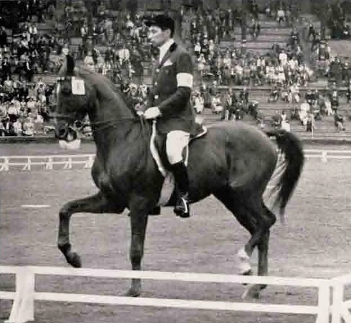 Gheorghe Teodorescu Palatin - Olimpiada 1956