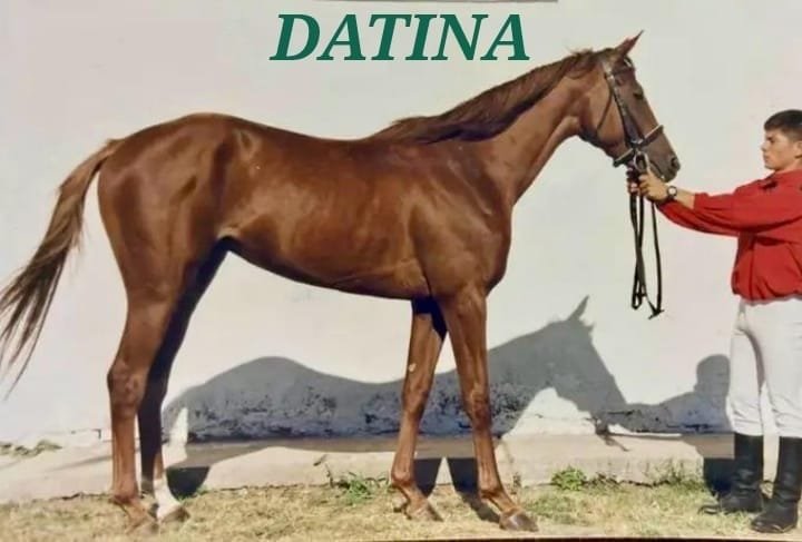 Datina