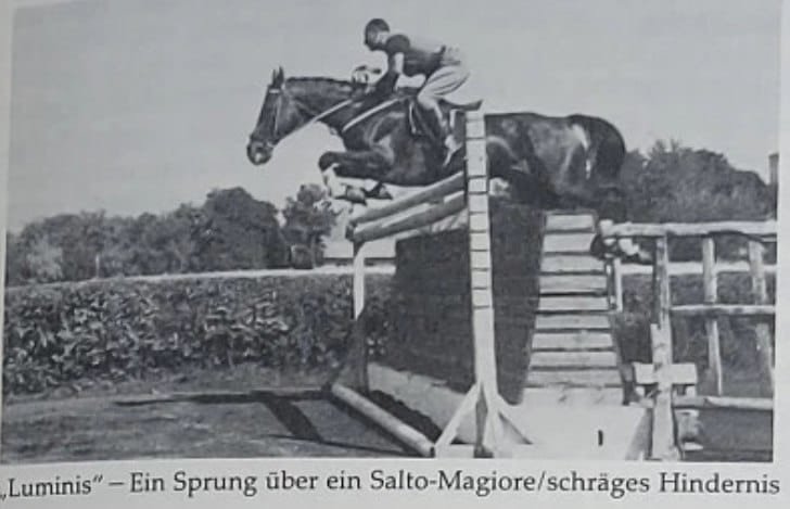 Alexandru Purcherea cu Luminiș