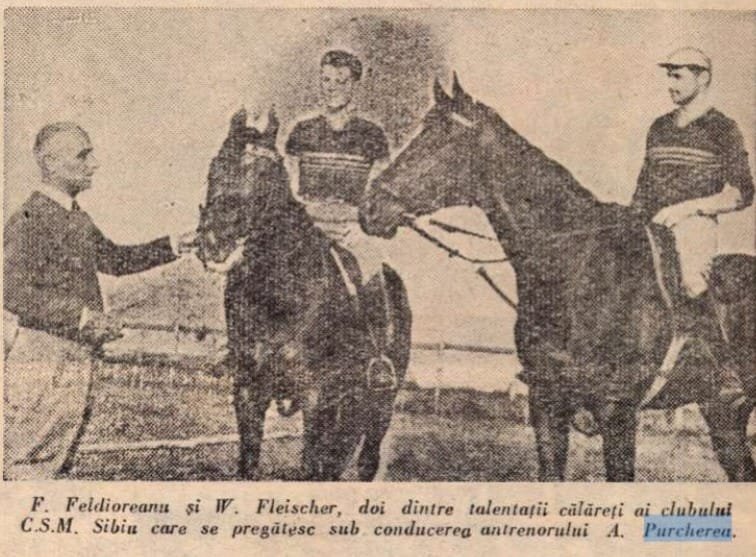 Alexandru Purcherea echipa sibiu