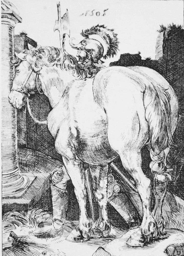 Rasa de cai Shire descendență din English Great Horse - Ilustrație istorică de Albert Dürer